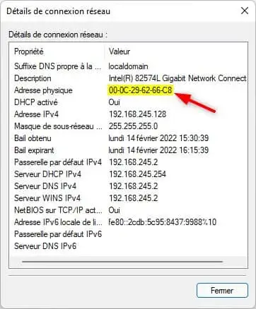 Trouver l 'adresse MAC de sa carte réseau via le Panneau de configuration