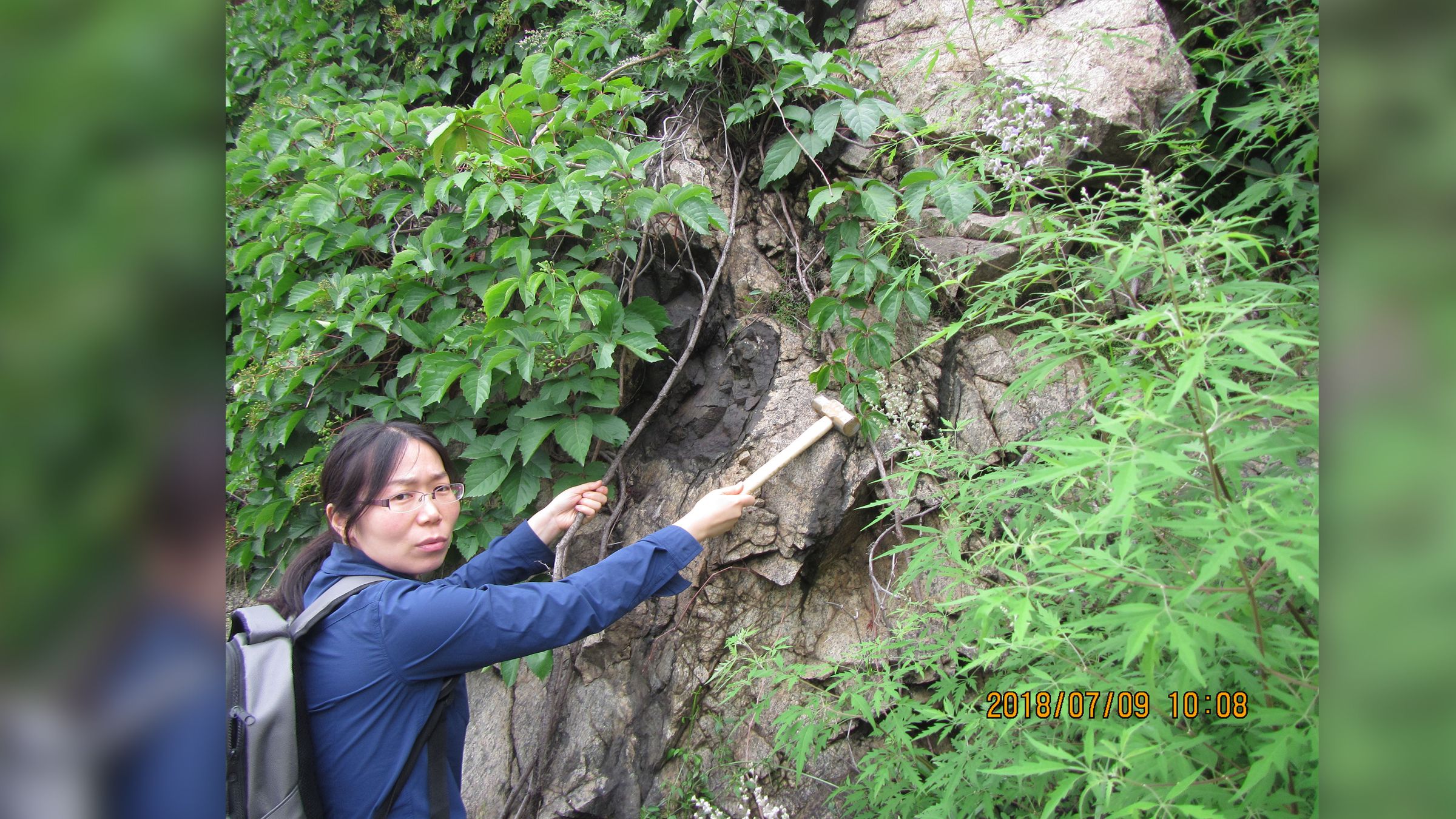 Lu Wang découvre des broussailles denses sur le site de l’éclogite archéenne à Shangying, en Chine.