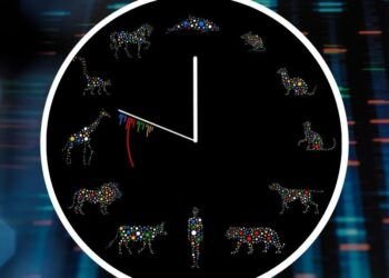 Les bombes à retardement de la mutation de l’ADN peuvent dicter quand les animaux meurent