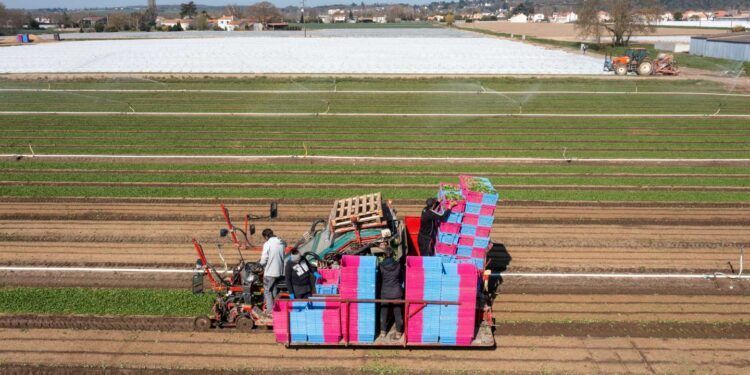 Les jardiniers de SOS à Nantes font face à des surcoûts liés à la guerre en Ukraine