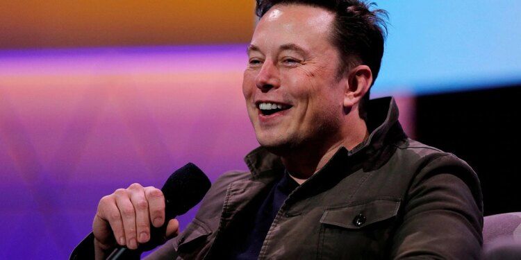 Elon Musk Deals Twitter a Wild Card as Shareholders Seek Reforms