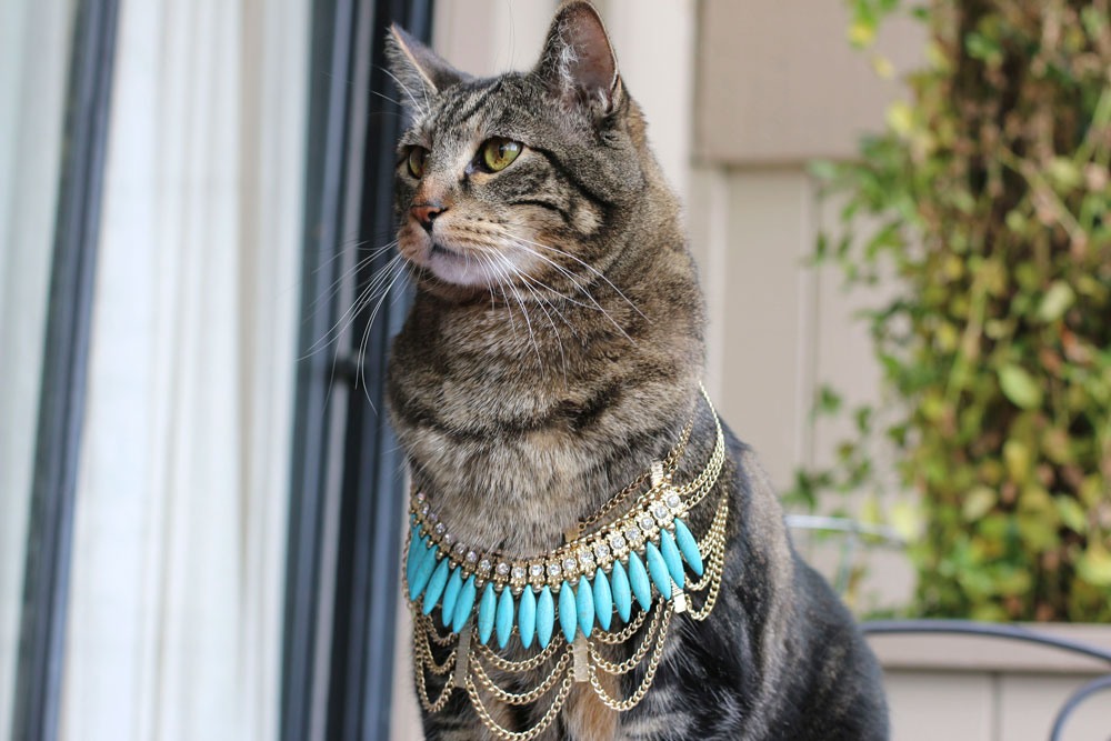 Sundays With Tabs the Cat, Makeup and Beauty Blog Mascotte, Vol. 708