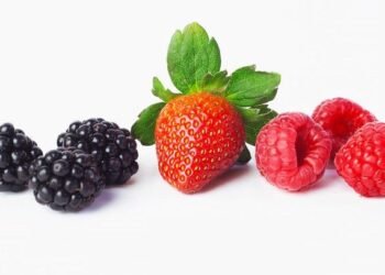 Quels fruits sont faibles en sucre?