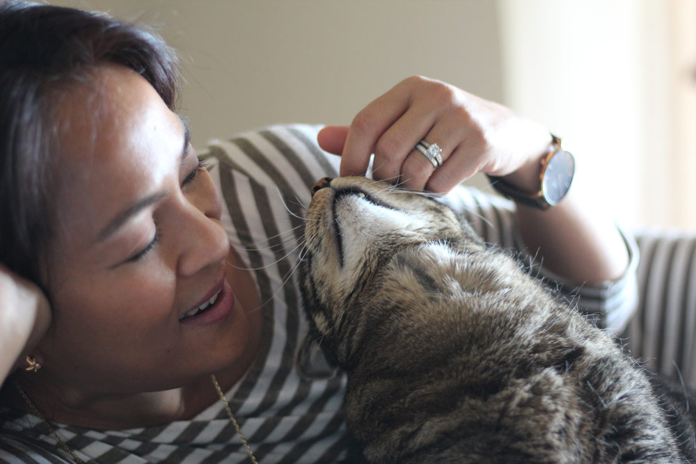 Sundays With Tabs the Cat, Makeup and Beauty Blog Mascotte, Vol. 709