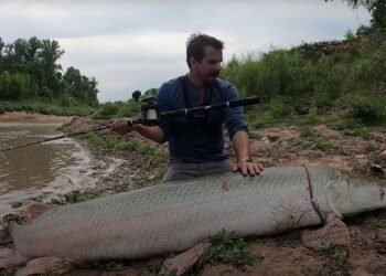Colossal alligator gar de 300 livres capturé (et relâché) dans le bayou du Texas