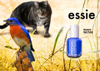 Sundays With Tabs the Cat, Makeup and Beauty Blog Mascotte, Vol. 710