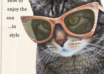 Dimanche avec des onglets le chat, mascotte de blog de maquillage et de beauté, vol.  712