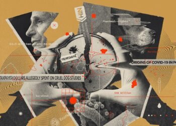 Ce groupe d’activistes a puisé dans la politique partisane COVID pour causer de gros problèmes à Anthony Fauci et aux NIH