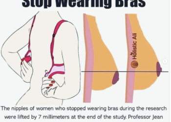 Les soutiens-gorge empêchent-ils réellement l'affaissement ?