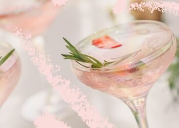 livres de recettes de cocktails