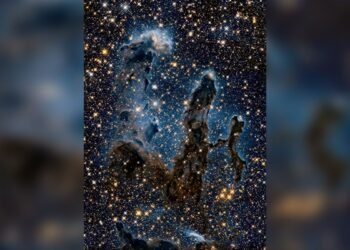 Combien de temps vivent les étoiles ?