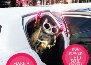 Dimanche avec des onglets le chat, mascotte de blog de maquillage et de beauté, Vol.  714