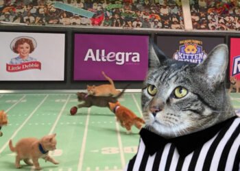 Dimanche avec des onglets le chat, mascotte de blog de maquillage et de beauté, vol.  715