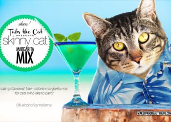 Dimanche avec des onglets le chat, mascotte de blog de maquillage et de beauté, vol.  716