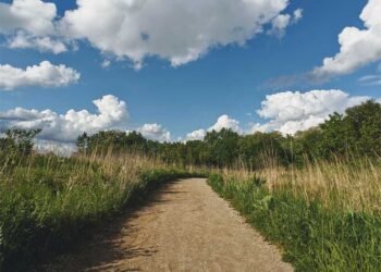 Blog maquillage et beauté Sondage du lundi, Vol.  732