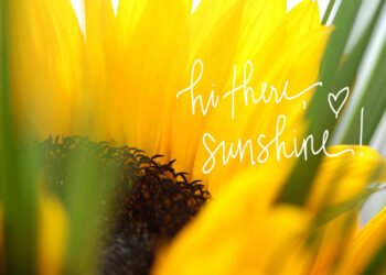 Blog maquillage et beauté Sondage du lundi, Vol.  733