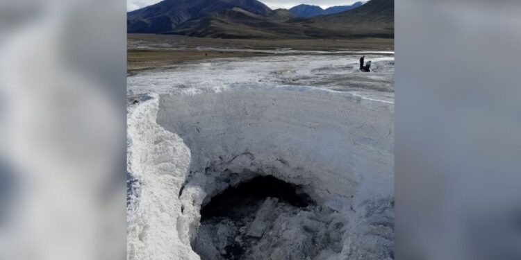 Des microbes prolifèrent dans un printemps à faible teneur en oxygène, super salé et sous zéro dans l'Arctique canadien – Thebuzzly