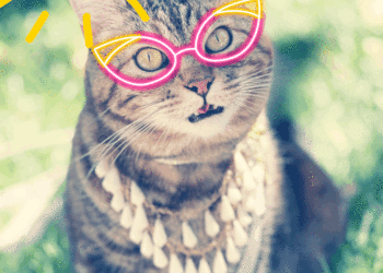 Dimanche avec des onglets le chat, mascotte de blog de maquillage et de beauté, vol.  713