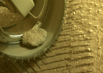 Le rover Persévérance adopte accidentellement le "pet rock" de l'auto-stop