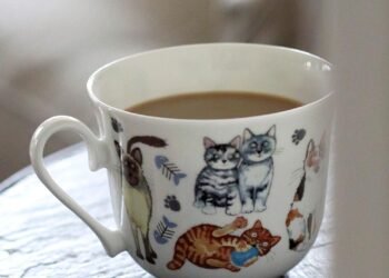 Samedi Surf, 18 juin 2022 !