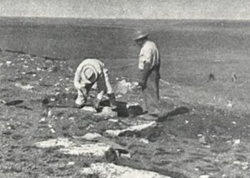 Un « trésor » fossile perdu redécouvert après 70 ans