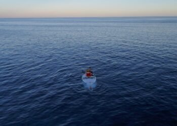 De nouveaux virus nommés d'après les dieux nordiques auraient pu alimenter l'essor d'une vie complexe