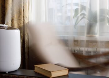 comment acheter un humidificateur ce premier jour