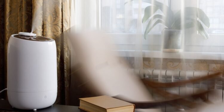 comment acheter un humidificateur ce premier jour – Thebuzzly