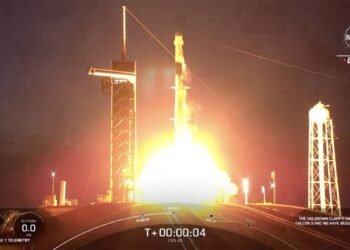 SpaceX a lancé sa 25e mission cargo vers la Station spatiale internationale.  Voici ce qu'il y a à bord.