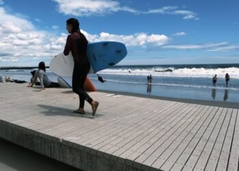Les plages de New York sont brièvement fermées pour la baignade après de « multiples » observations de requins