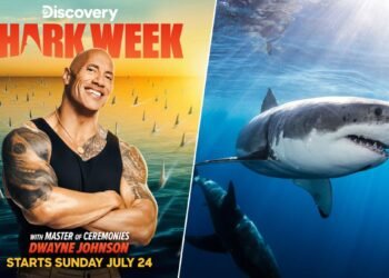 Guide de streaming Shark Week: Comment regarder Shark Week 2022