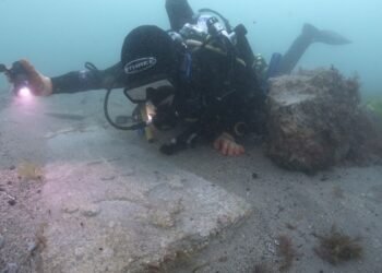 L'épave de mortier du XIIIe siècle est le plus ancien navire coulé d'Angleterre jamais conservé