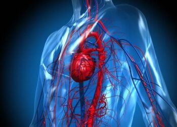 Comment améliorer votre trafic