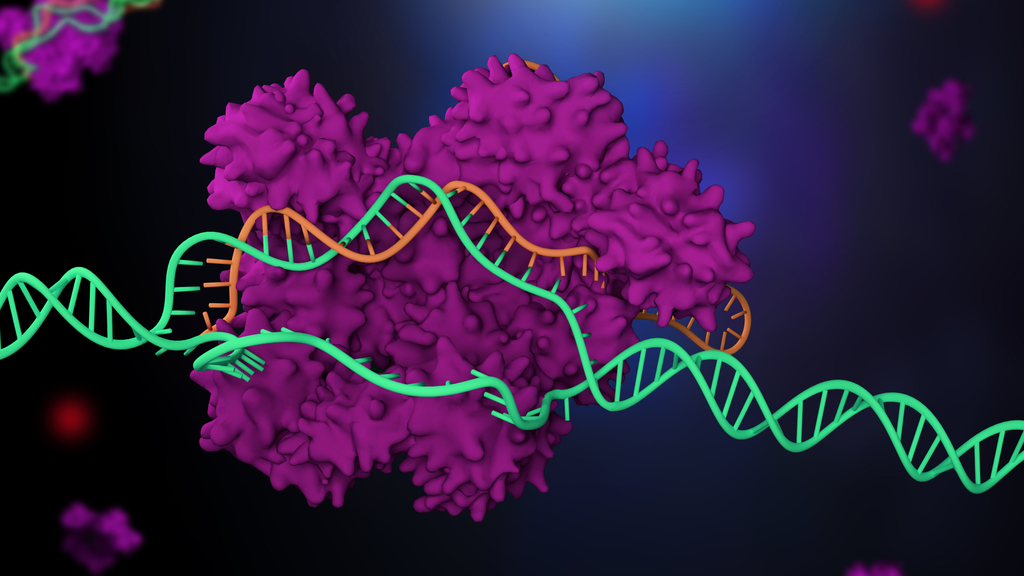 illustration de crispr-cas9 coupant un peu d'ADN d'un brin