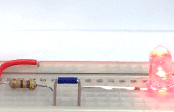 Des araignées mortes réanimées en "nécrobots" effrayants