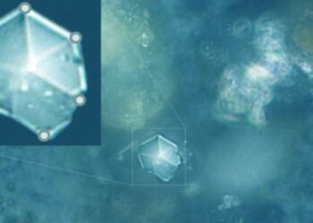 Des cristaux inédits trouvés dans de la poussière de météorite parfaitement conservée