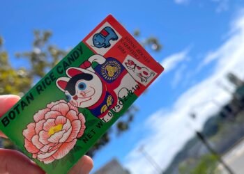 Samedi Surf, 2 juillet 2022 !