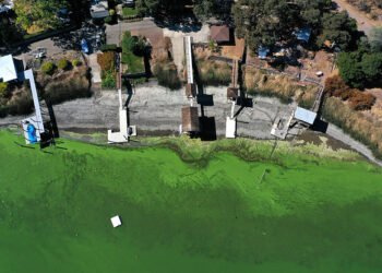 Soyez à l'affût des algues bleu-vert cet été