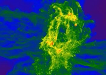 Supermassive Black Holes Formed in Rare Regions of Gas Behind the Earliest Quasars: Study