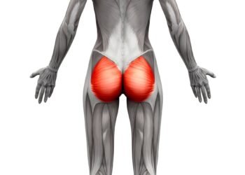 Muscles fessiers : qu'est-ce que c'est et comment les rendre plus forts