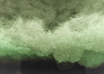 La coquille glacée d'Europe pourrait être fabriquée à partir de neige sous-marine pure