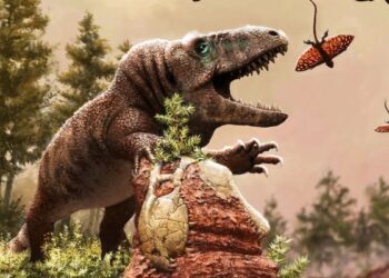 Le réchauffement climatique a déclenché le boom des reptiles il y a des millions d'années : selon une étude