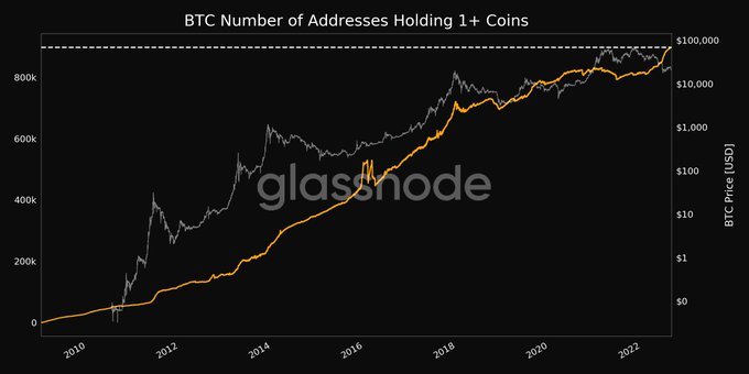 Les baleines continuent d'empiler des Bitcoins complets et des soldes de 1 000 ETH - CryptoMode