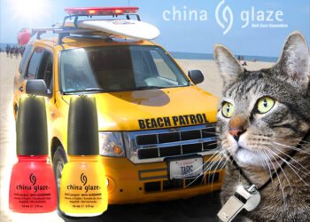 Dimanche avec des onglets le chat, mascotte de blog de maquillage et de beauté, vol.  724