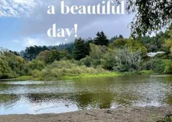 Blog maquillage et beauté Sondage du lundi, Vol.  740