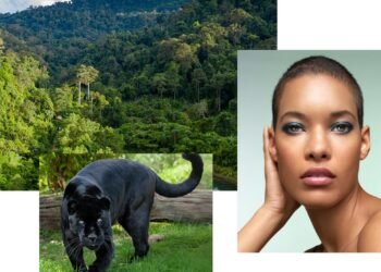 Chat de beauté !  Big Cats pour Chantecaille et la montée du visage Instagram