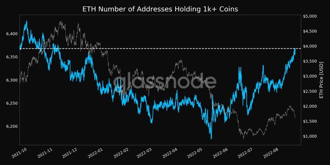 Les baleines continuent d'empiler des Bitcoins complets et des soldes de 1 000 ETH - CryptoMode