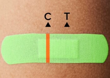 Qui devrait en obtenir un et pourquoi