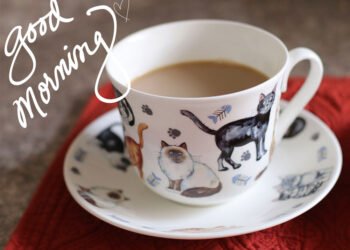 Surf du samedi 13 août 2022 !