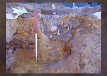 17 personnes retrouvées dans un puits médiéval en Angleterre ont été victimes d'un massacre antisémite, révèle l'ADN